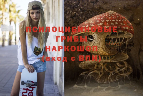 эйфоретик Алзамай