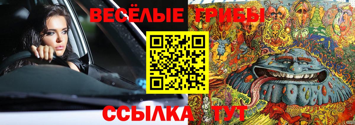 купить наркоту  Вход с VPN  Тихвин  Псилоцибиновые грибы MAGIC MUSHROOMS 